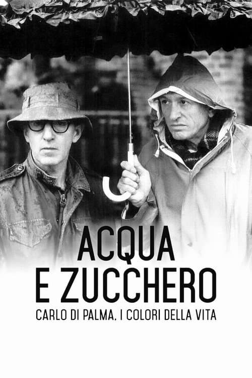 Acqua e zucchero – Carlo Di Palma: i colori della vita (2017) poster