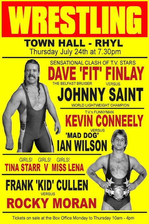 The Fit Finlays (2010) poster