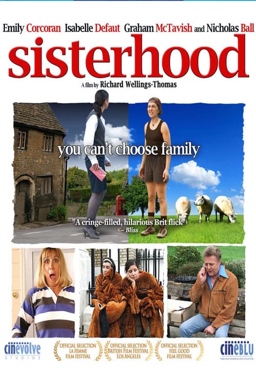 Sisterhood (2008) poster