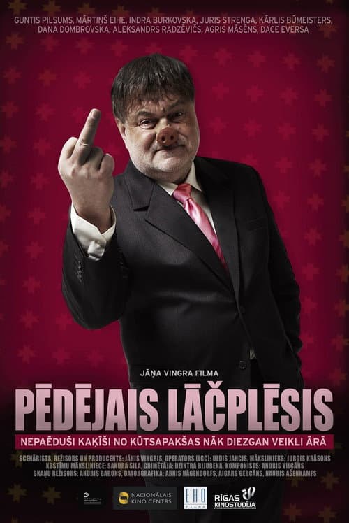 Pēdējais Lāčplēsis (2010) poster
