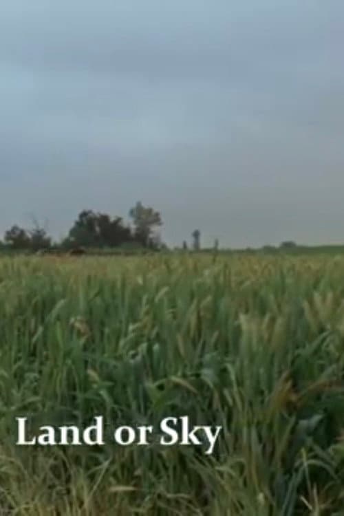 Land or Sky (2012) poster
