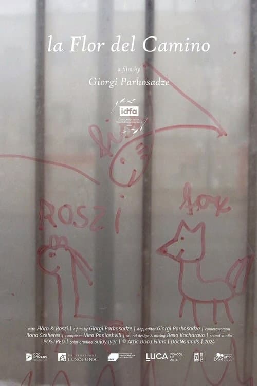 la Flor del Camino (2024) poster
