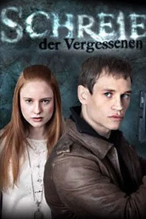 Schreie der Vergessenen (2011) poster