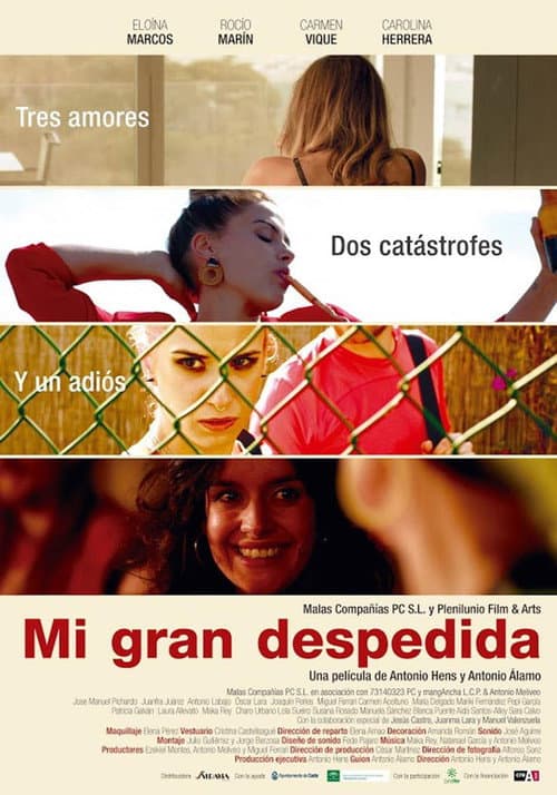 Mi gran despedida (2020) poster
