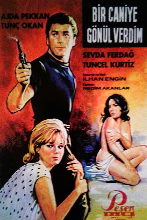 Bir Caniye Gönül Verdim (1965) poster