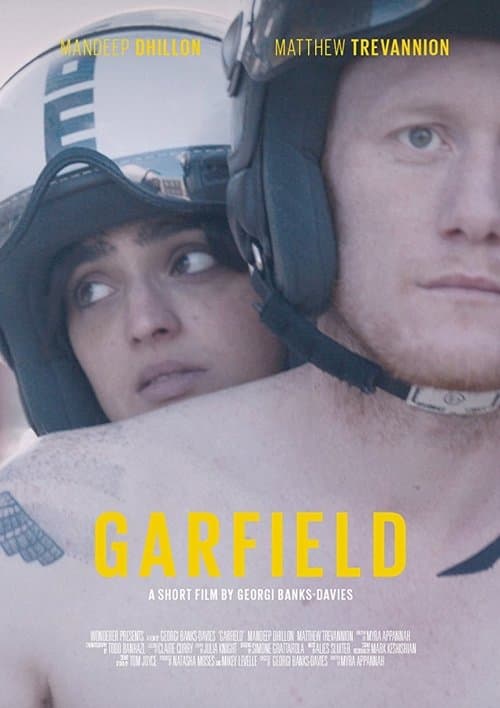 Garfield (2017) poster