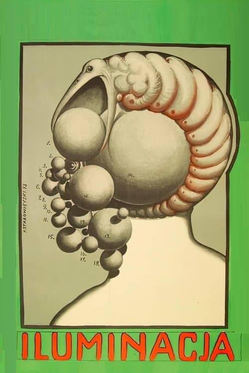 Iluminacja (1973) poster