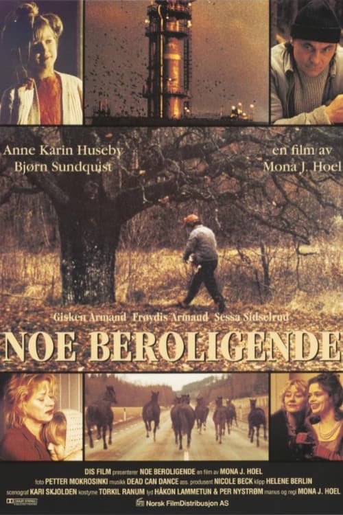 Noe beroligende (1995) poster