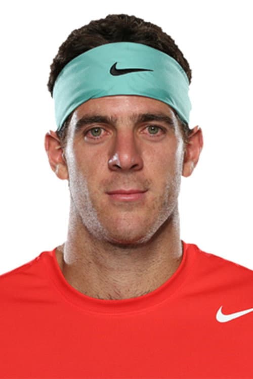 Juan Martin del Potro foto