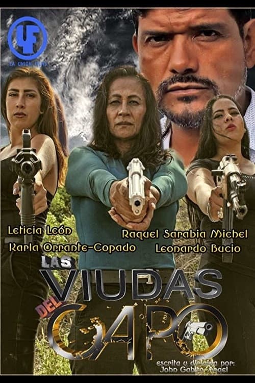 Las Viudas del Capo (2016) poster