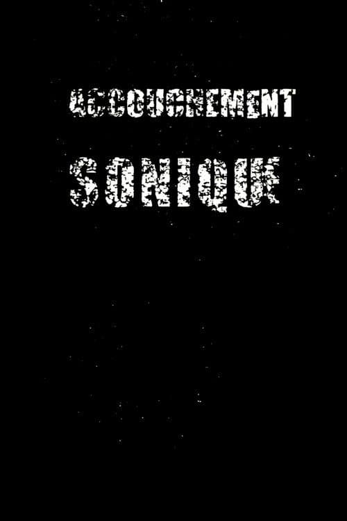 Accouchement sonique (2010) poster