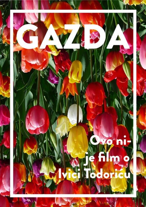 Gazda (2016) poster