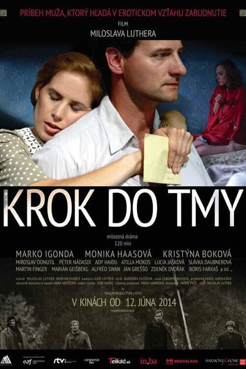 Krok do tmy (2014) poster
