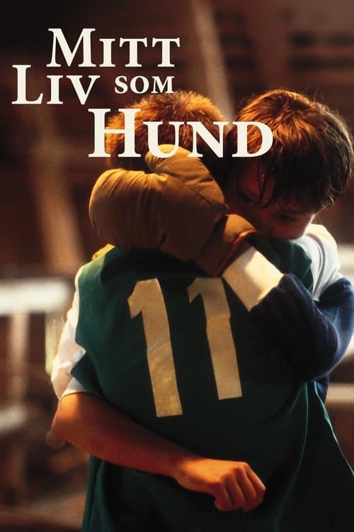 Mitt Liv som Hund (1985) poster
