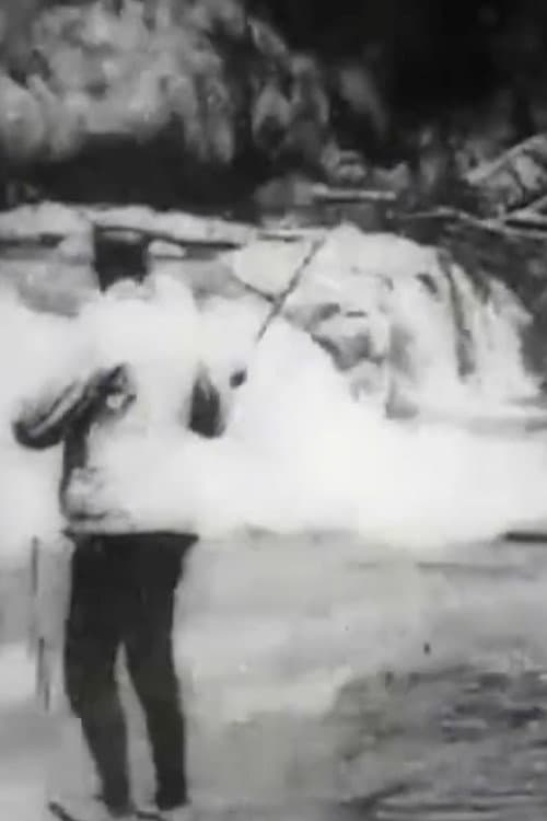 Bass Fishing (1901) poster
