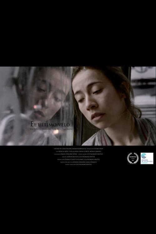 El último velo (2013) poster