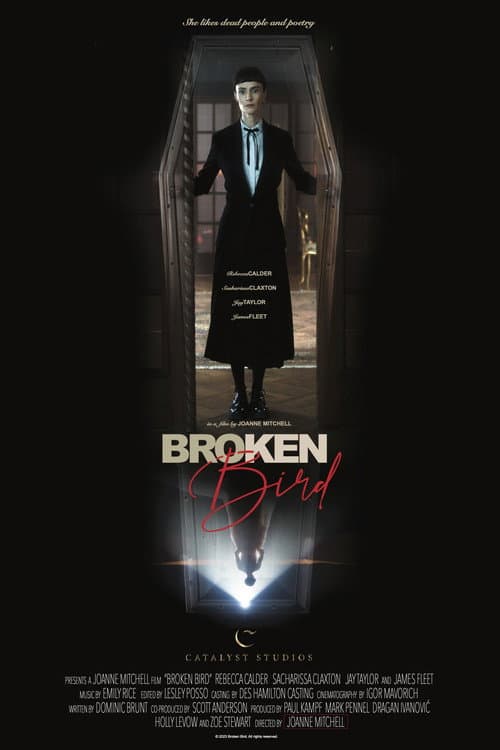 Broken Bird (2024) poster
