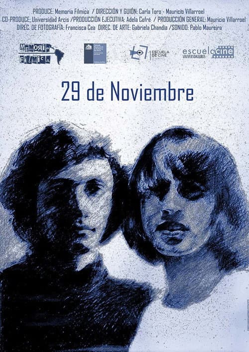 29 de Noviembre (2018) poster