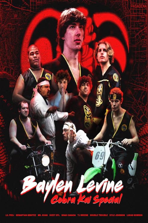 The Cobra Kai Movie (2024) poster