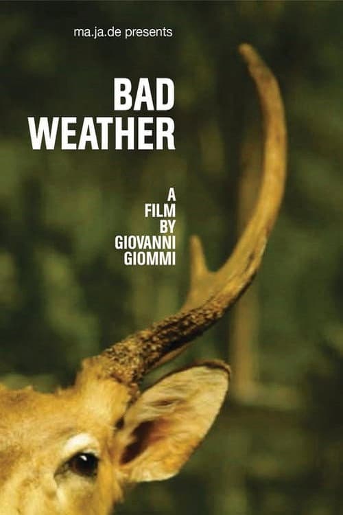 Bad Weather (2011) poster