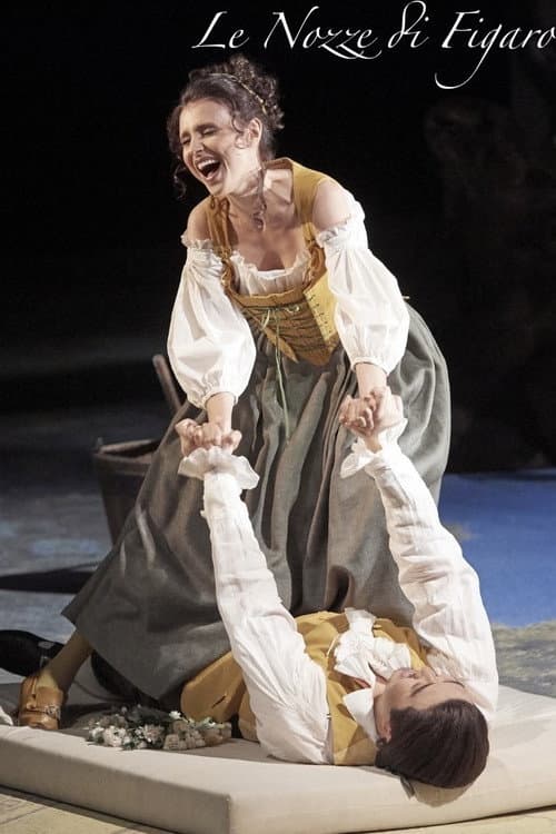 Le Nozze di Figaro - Wiener Staatsoper (2016) poster