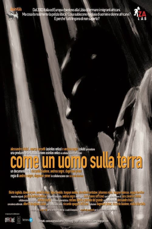 Come un uomo sulla terra (2008) poster