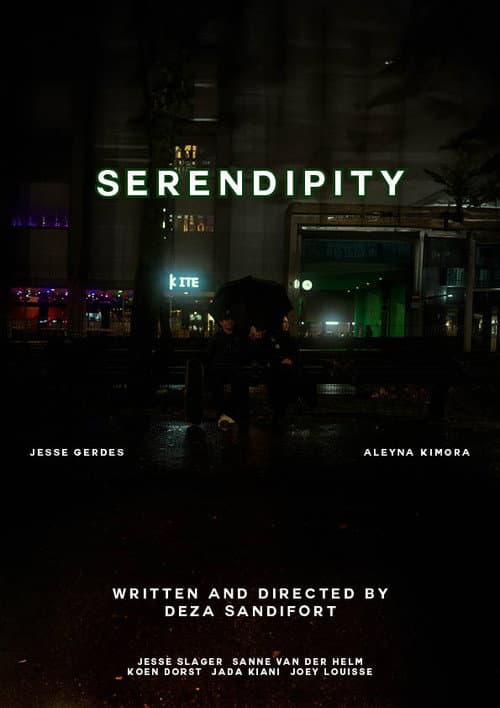 Serendipity (2024) poster