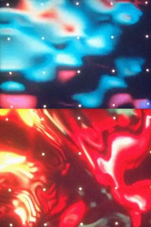 Small Foveal Fields (1981) poster