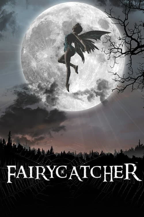 Fairycatcher (2009) poster