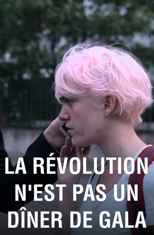 La révolution n'est pas un dîner de gala (2015) poster
