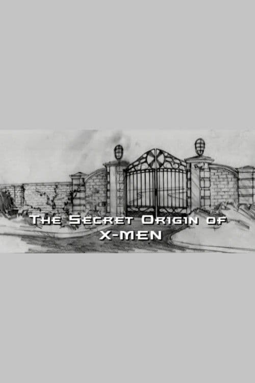The Secret Origin of X-Men (2003) poster
