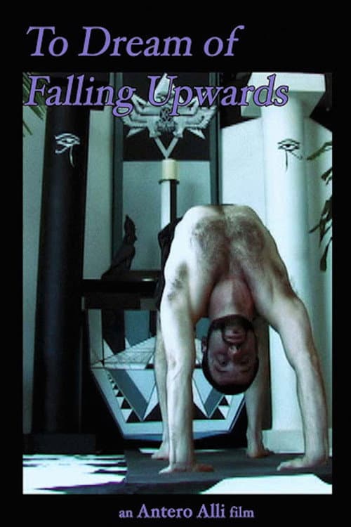 To Dream of Falling Upwards (2011) poster