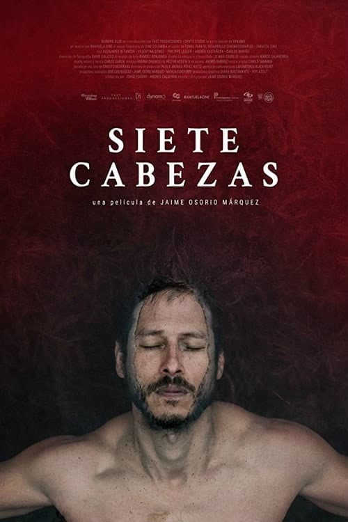 Siete Cabezas (2017) poster