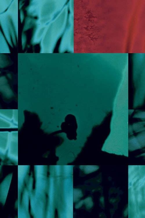 Disorient (2010) poster