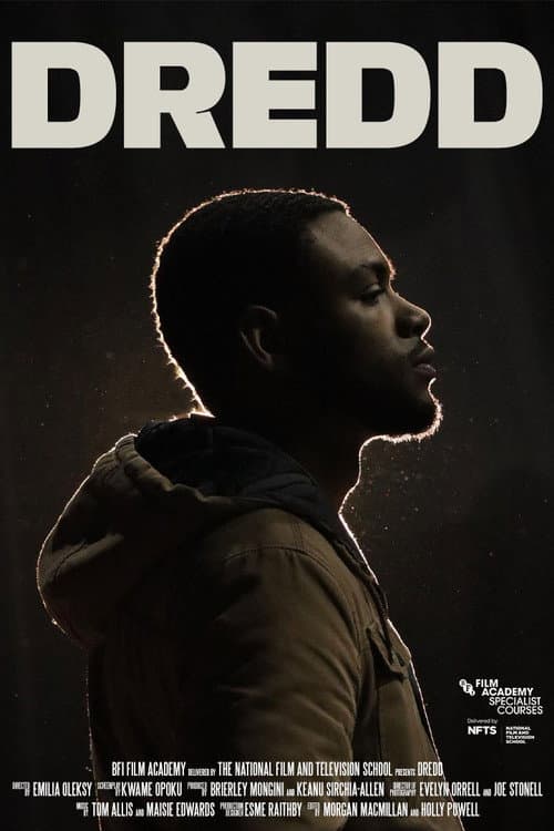 DREDD (2024) poster