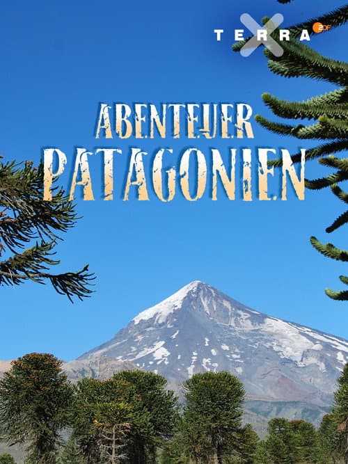 Abenteuer Patagonien (2015) poster