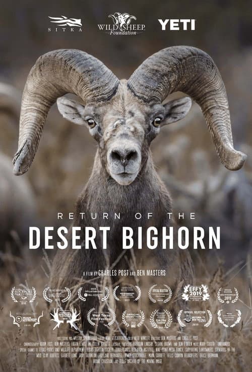 Return of the Desert Bighorn (2018) poster