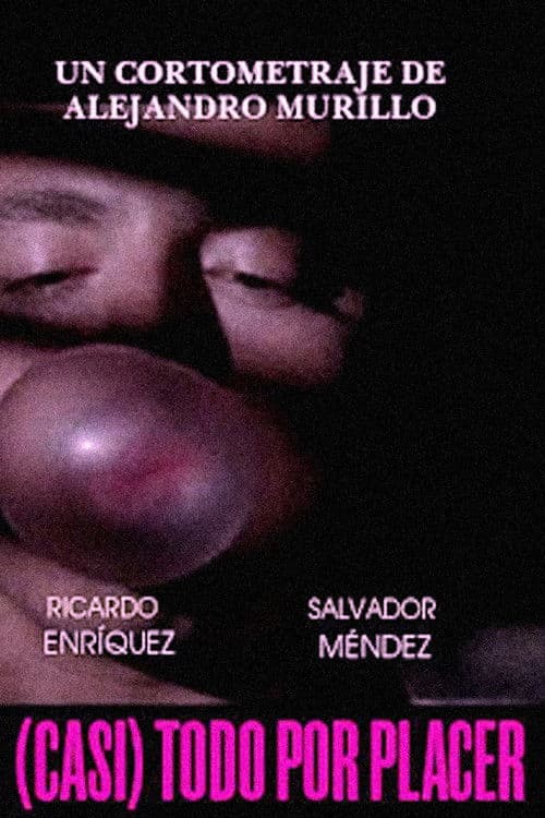 (Casi) Todo por placer (2010) poster