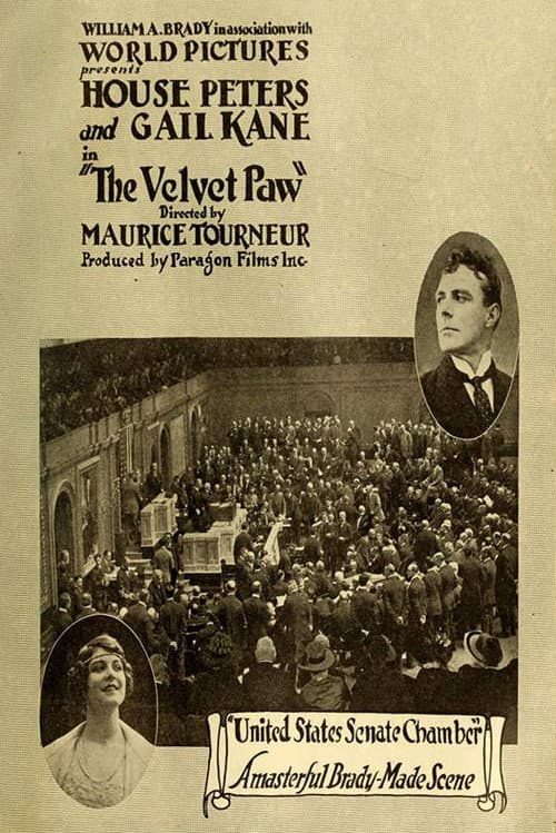 The Velvet Paw (1916) poster