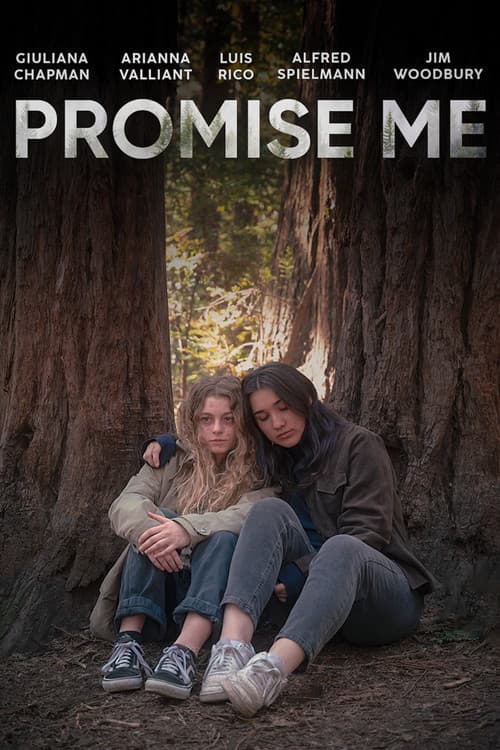 Promise Me (Short Film) (2023) poster