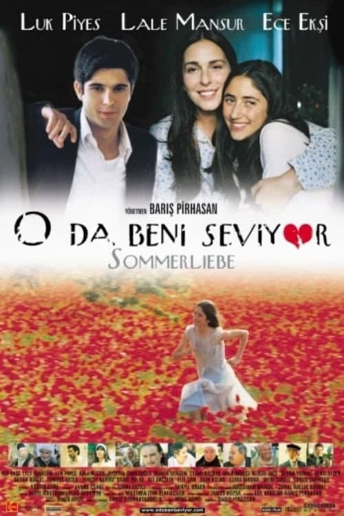 O da Beni Seviyor (2001) poster