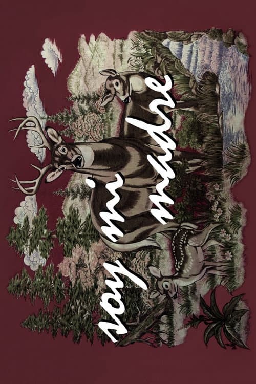 Soy mi Madre (2008) poster