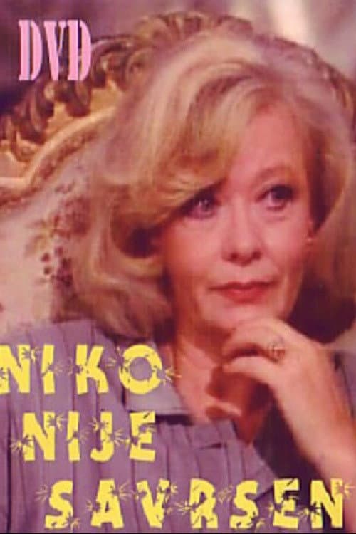 Niko nije savršen (1994) poster