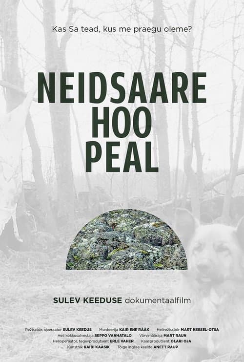 Neidsaare hoo peal (2022) poster