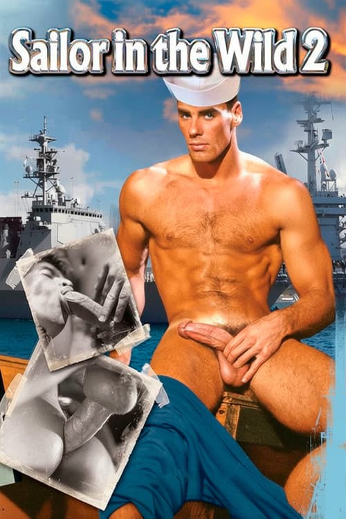 Sailor in the Wild 2 (1990) poster