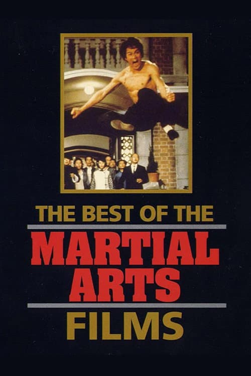 The Best of the Martial Arts Films (1990) poster