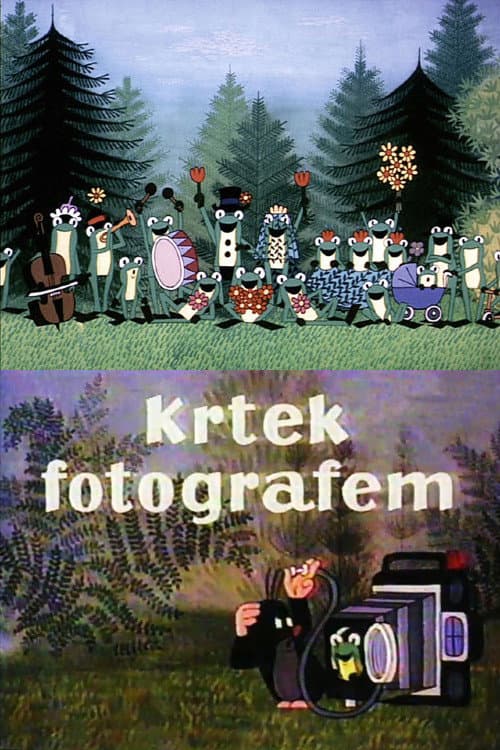 Krtek fotografem (1975) poster