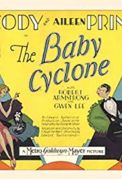 The Baby Cyclone (1928) poster
