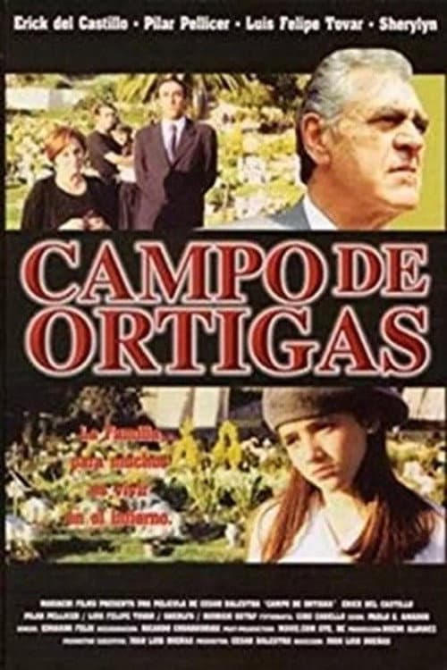 Campo de Ortigas (1998) poster