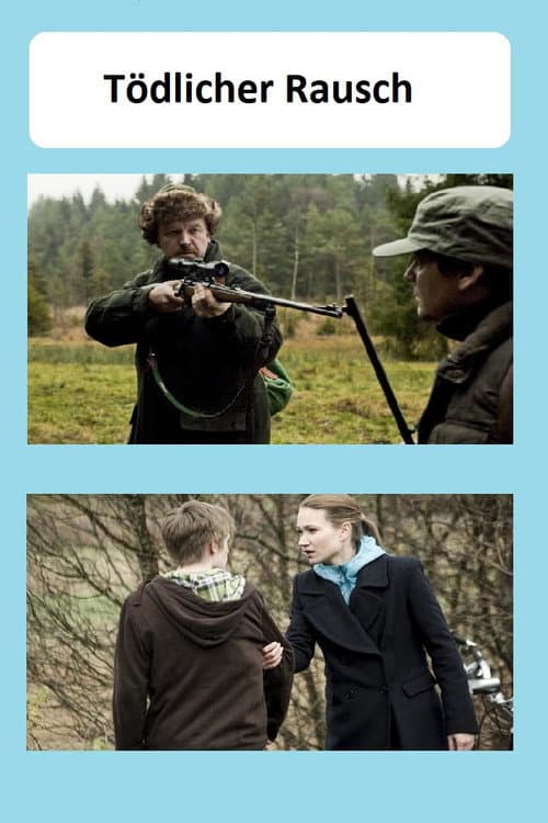 Tödlicher Rausch (2011) poster
